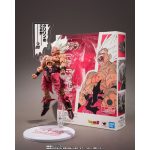 ENCOMENDA - S.H FIGUARTS - SUPER SAIYAN SON GOKU